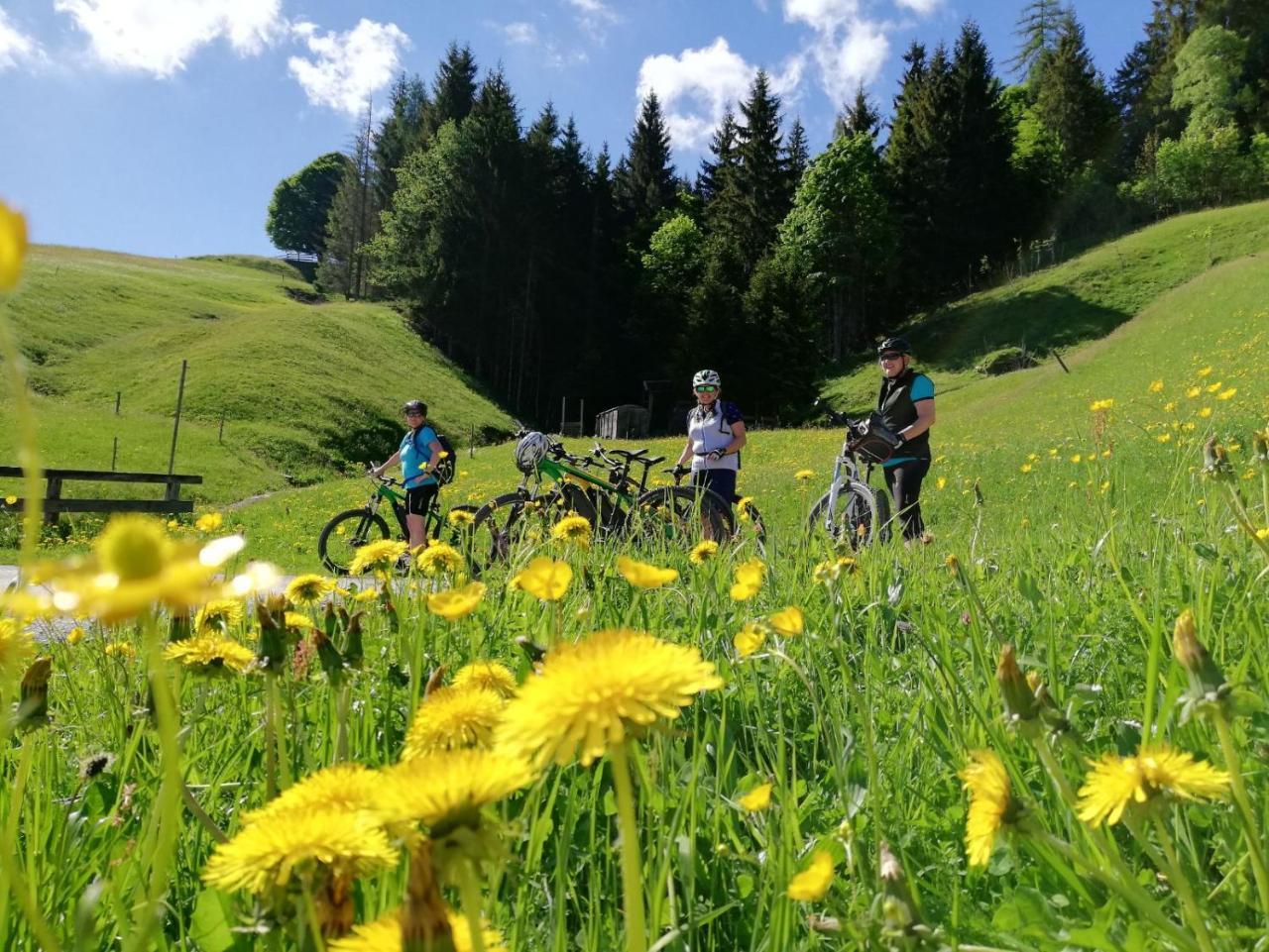 Pension Edelweiss Breitenbach am Inn Экстерьер фото