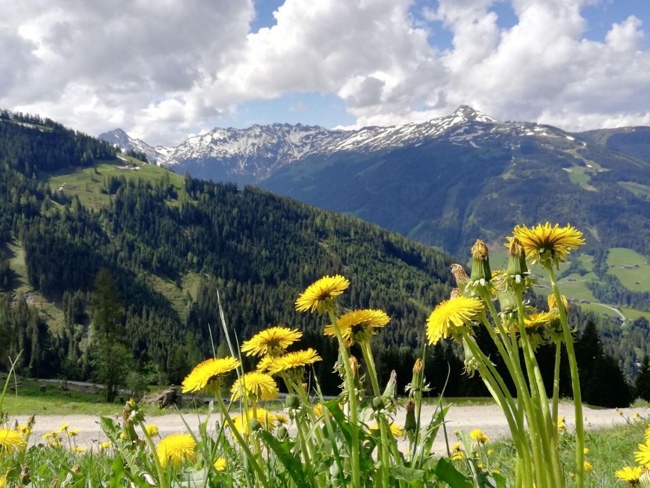 Pension Edelweiss Breitenbach am Inn Экстерьер фото